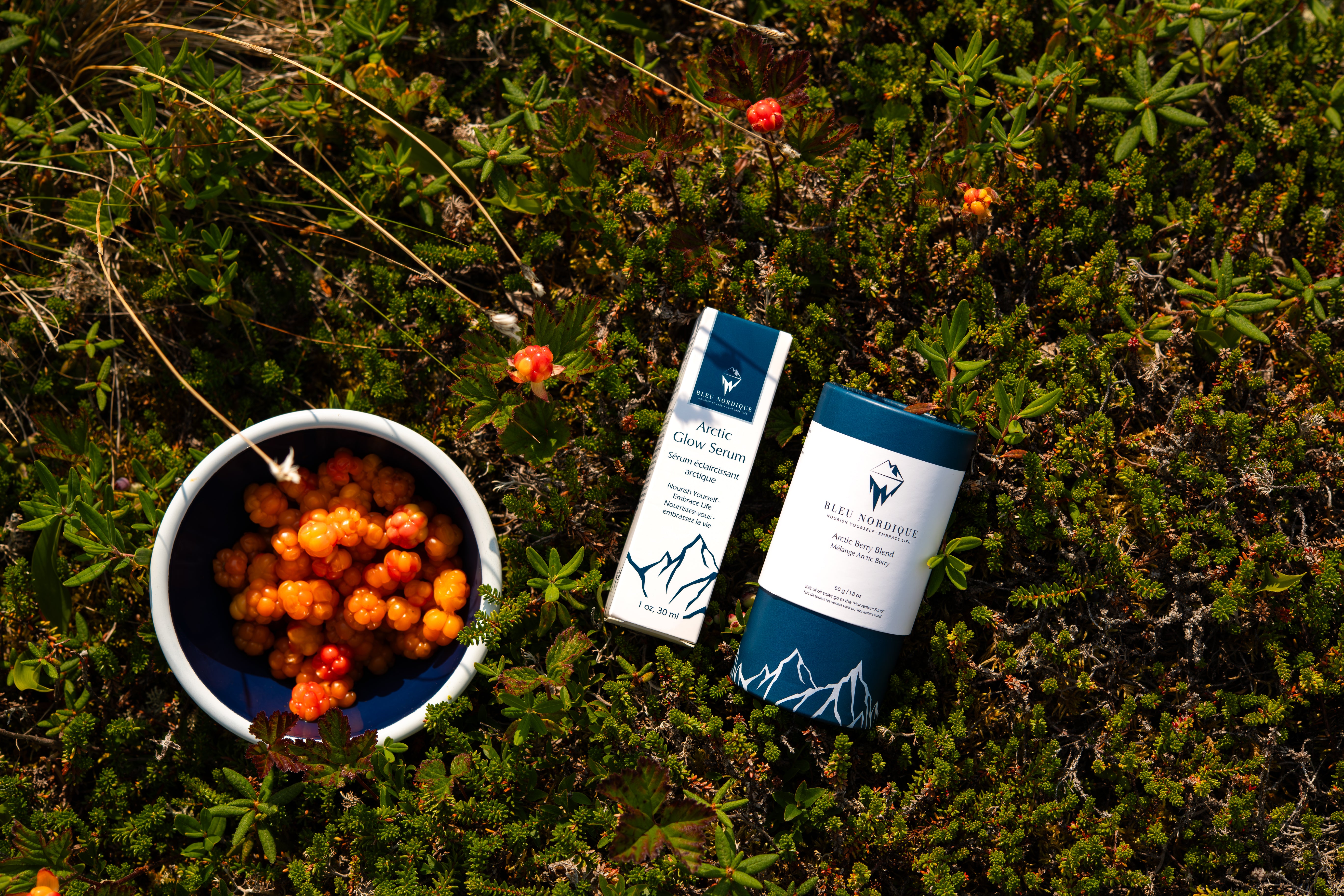 Arctic Glow Serum