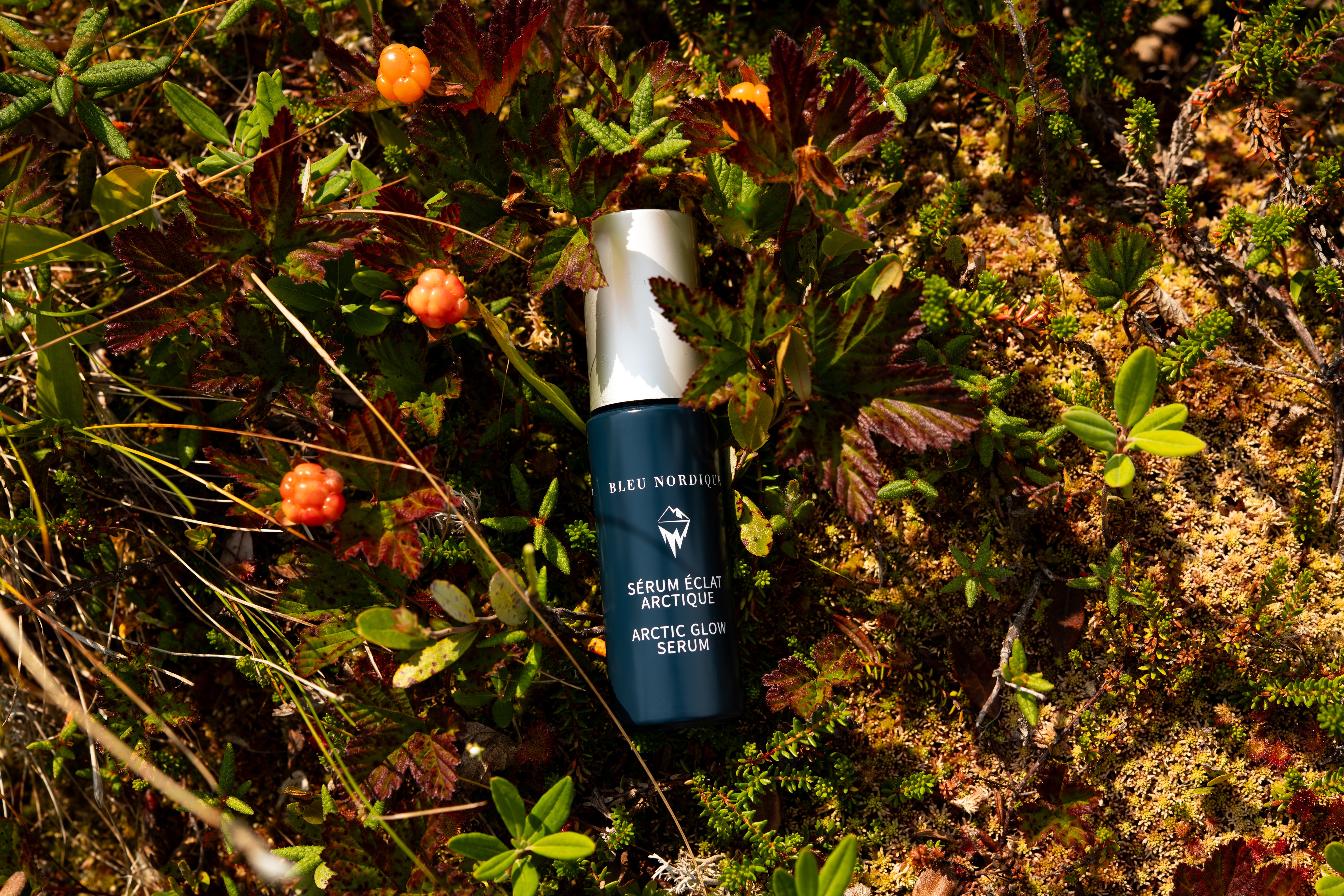 Arctic Glow Serum