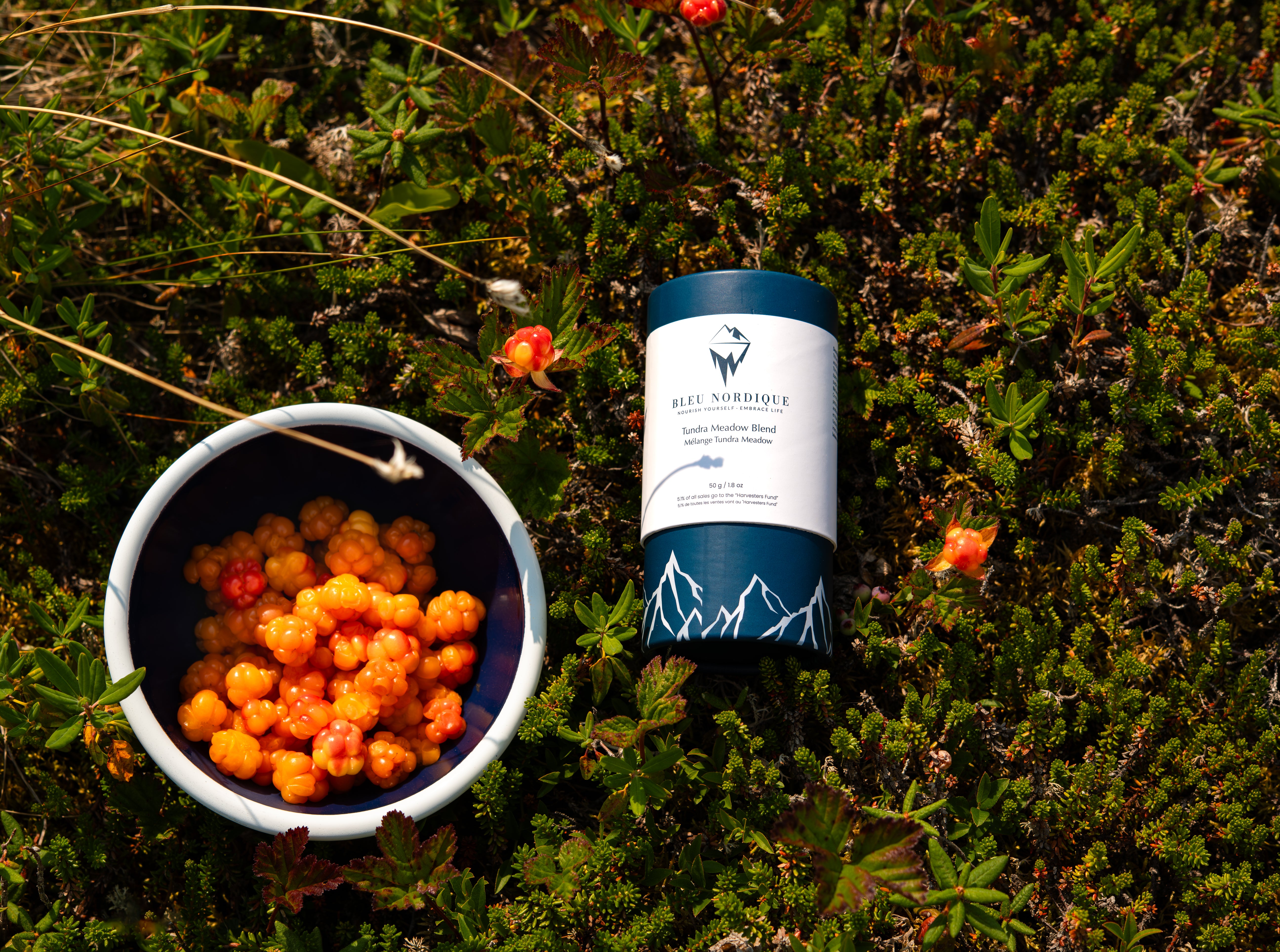 tundra meadow blend - bleu nordique